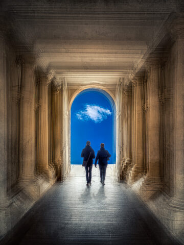 Palais des Ducs, Dijon, Exposition multiple