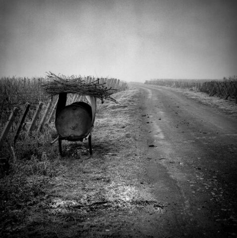 Gevrey-Chambertin Zeiss Ikon IKOFLEX 856/16