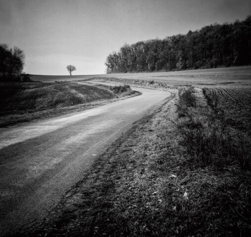 Route de la Rente Noire, Urcy, Zeiss Ikon IKOFLEX 856/16