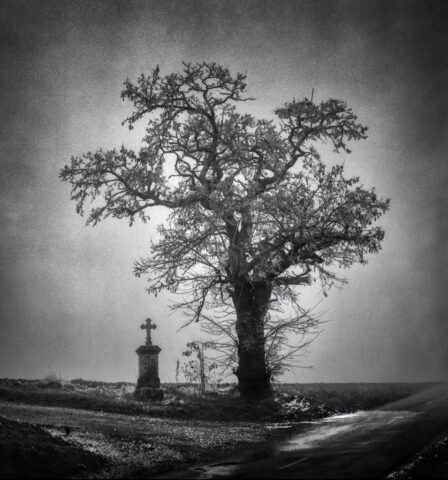 Le calvaire de Poisot, Zeiss Ikon IKOFLEX 856/16