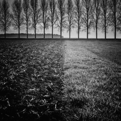 La fibre, Corgoloin, Zeiss Ikon IKOFLEX 856/16