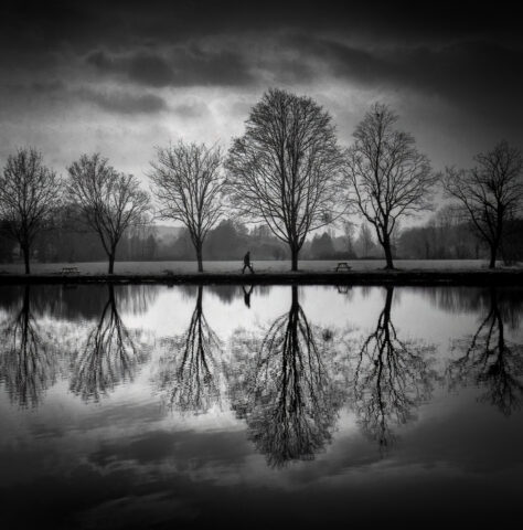 Etang de Blouche, Chagny, Zeiss Ikon IKOFLEX 856/16