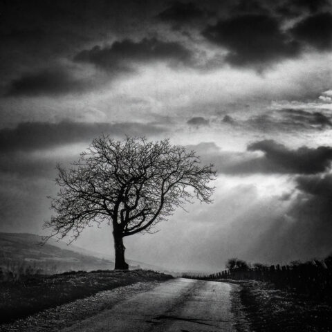 Santenay, Zeiss Ikon IKOFLEX 856/16