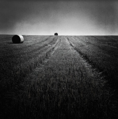 Ruffey_Lès-Beaune, Zeiss Ikon IKOFLEX 856/16