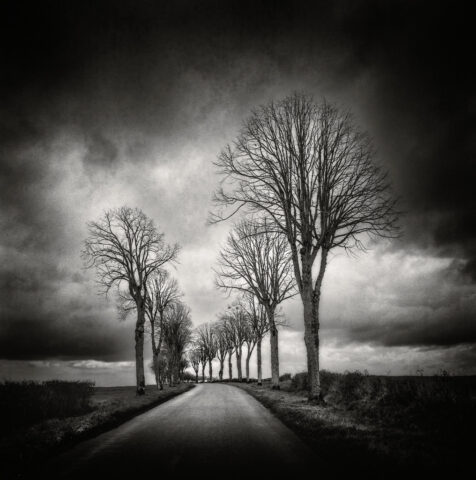 Zeiss Ikon IKOFLEX 856/16 Allerey