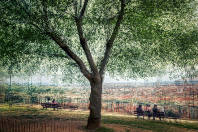 La Croix-Rousse, Lyon, Exposition multiple