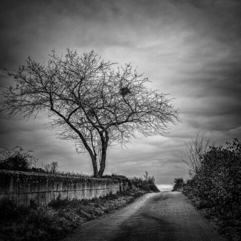 Les Marconnets, Beaune