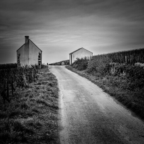 Les Marconnets, Beaune