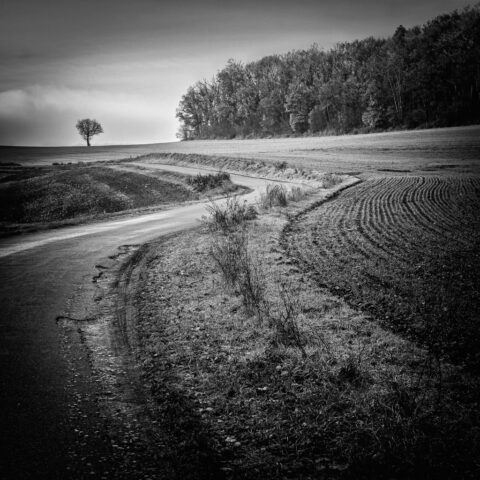 Route de la rente noire, Urcy