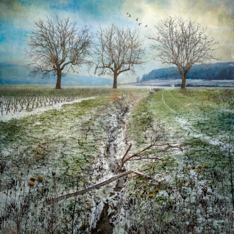 Paysage imaginaire #2