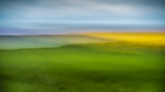 Champ de colza, ICM