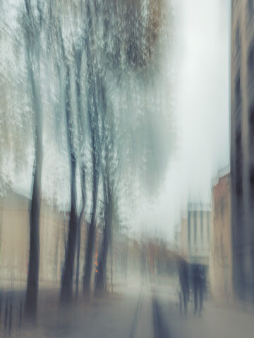 Dijon, ICM