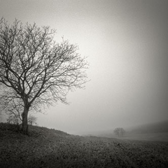 Sans Objectif - Série réalisée avec un sténopé 