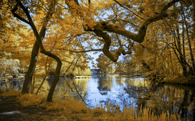 Parc de la Bouzaise, Beaune