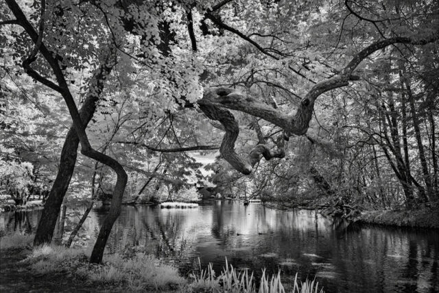Parc de la Bouzaise, Beaune