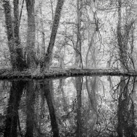 Parc de la Bouzaise, beaune