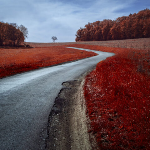 Route de la rente noir, Urcy