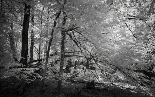 Lac de Pannecières