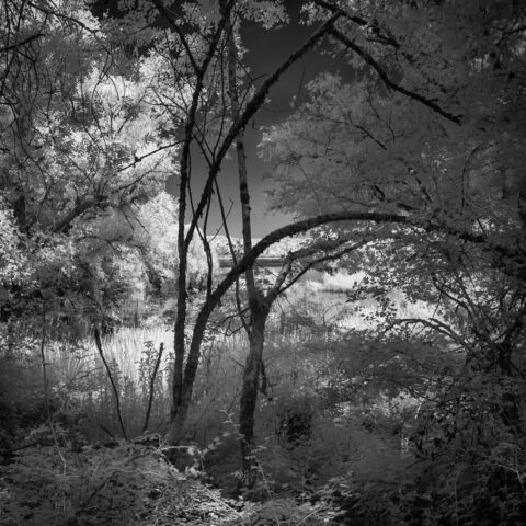 _IR03763-Modifier