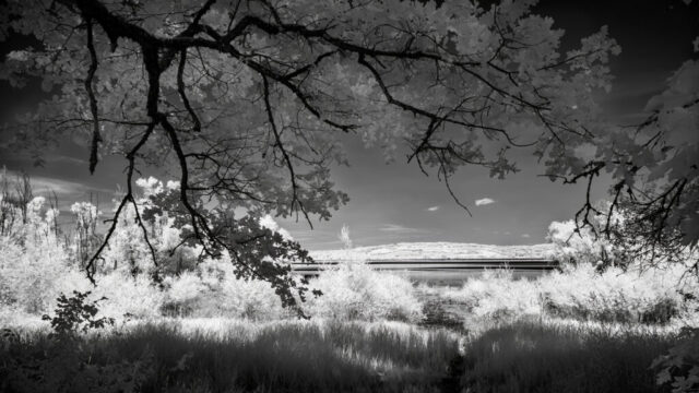 _IR03776_IR_780