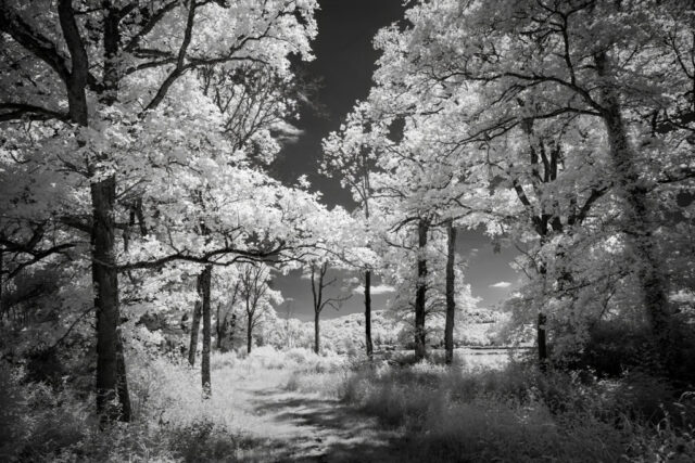 _IR03778_IR_780
