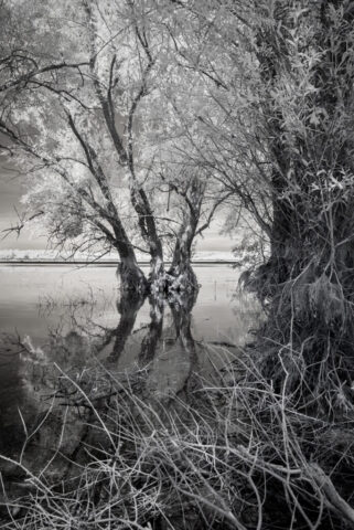 _IR03792_IR_780