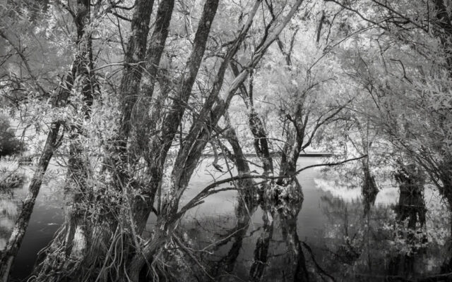 _IR03812-Modifier