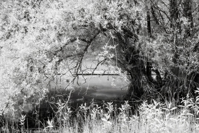 _IR03817_IR_780