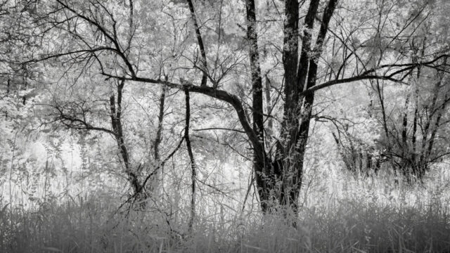 _IR03829_IR_780