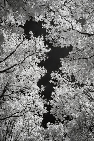 _IR03838-Modifier