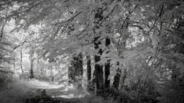 _IR03842-Modifier
