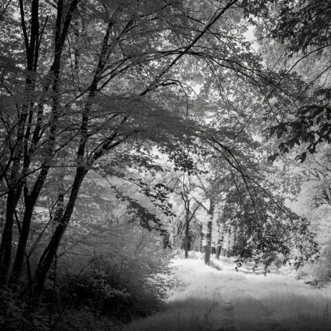 _IR03887-Modifier