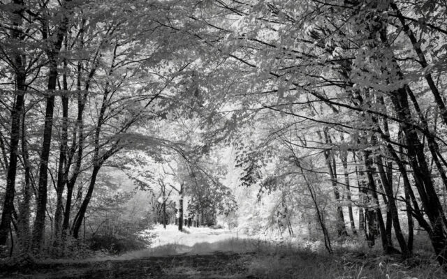 _IR03897-Modifier